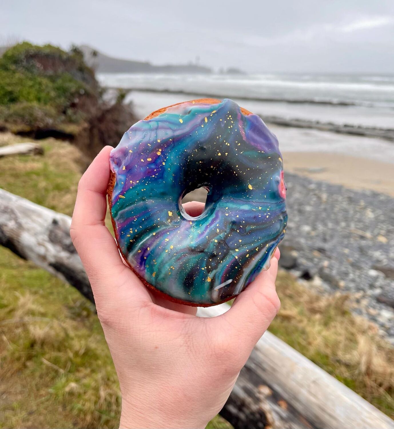 donut5.jpg